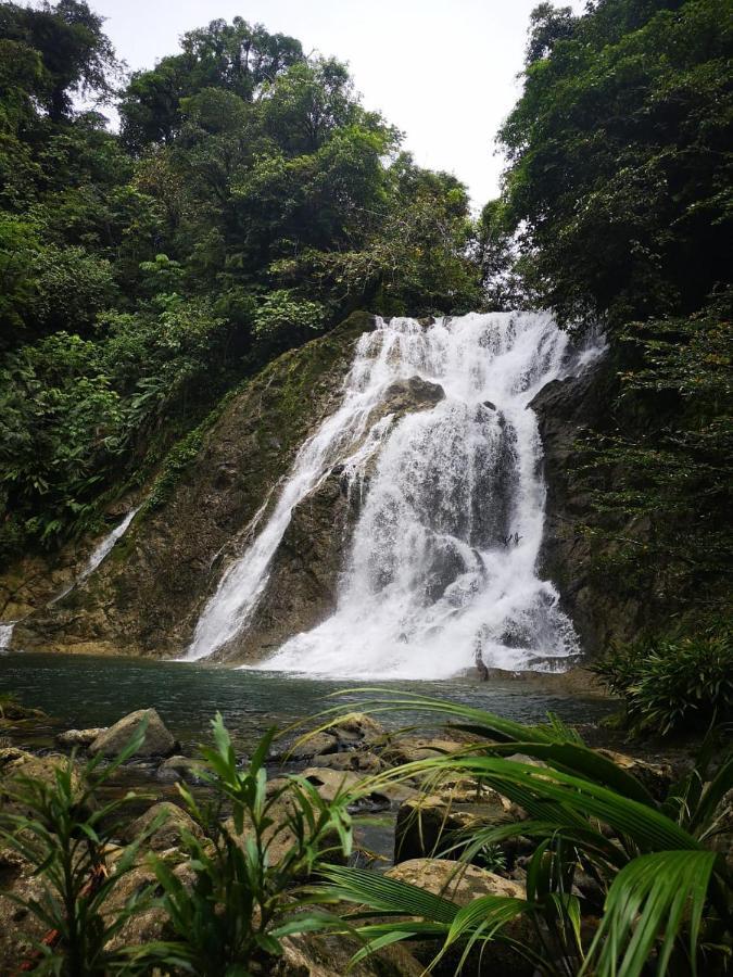 Reserva Natural Selva Mojada Нукі Екстер'єр фото